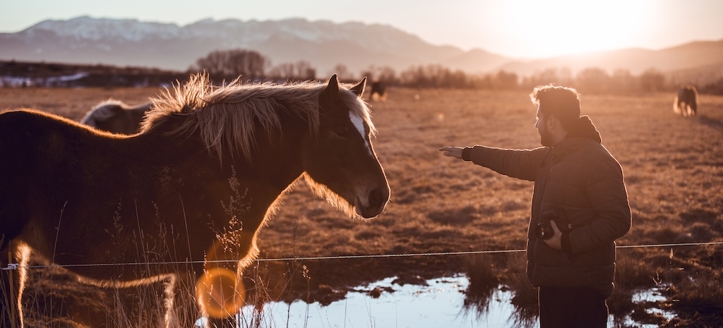 Side view of man touching a horse on ranch.